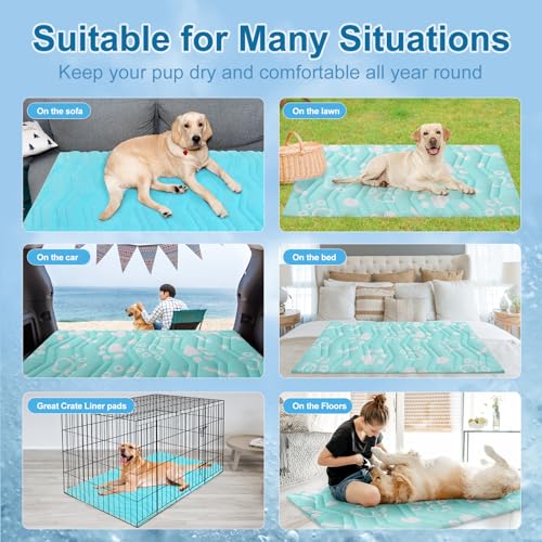 Cooling Mat for Medium Dogs (Aqua Blue / 36.0"L x 23.0"W x 1.0"Th(M))