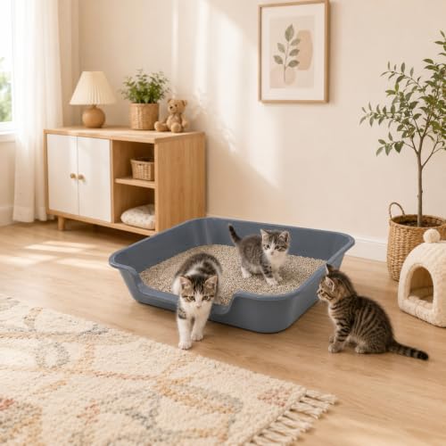 1 Pack of Extra Large Cat Litter Box (Large (Pack of 1) / Dark Gray)