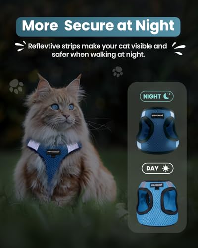 Cat Harness and Leash Set (Tranquil Teal / L(Chest 12-14"))