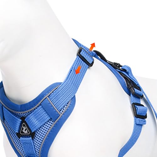 cat Chest Harness and Leash (Royal blue / S:3.3-6.6lb)