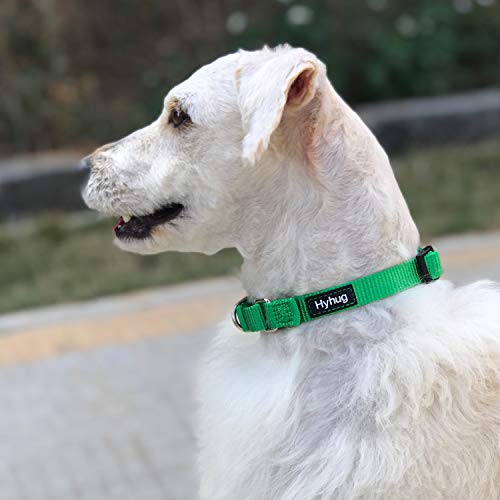 Martingale Collar for Dogs Small Green (Small / Lime Green)