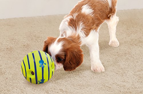 Ball Interactive Dog Toy (Original)