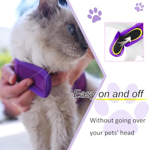 Cat Harness and Leash Set for Walking Escape Proof (Purple / S 4-6 lbs)