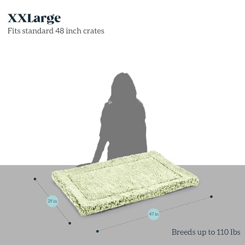 Stoutwool Indestructible Dog Bed (47.0"L x 29.0"W x 2"Th / Gleam)
