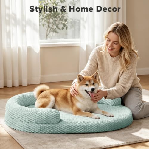 Orthopedic Dog Bed Medium Size Dogs (Green / M(28"x 20"x 6"))