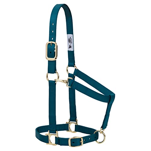 Nylon Horse Halter (Teal Green / 1" Small Horse)