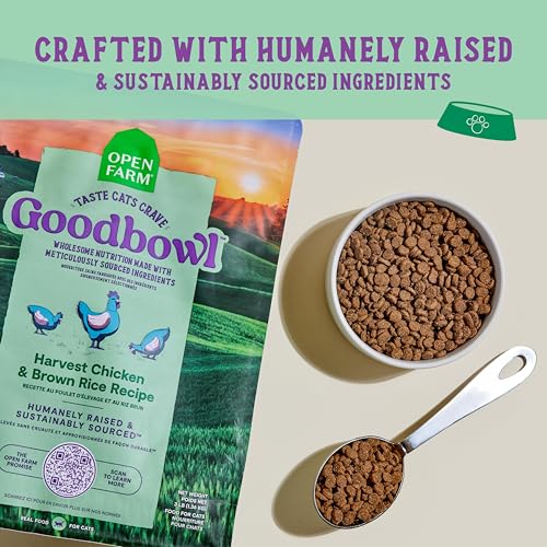Goodbowl Protein Rich Dry Cat Food Made from Meticulously Sourced Simple Ingredients (3 Pound (Pack of 1))