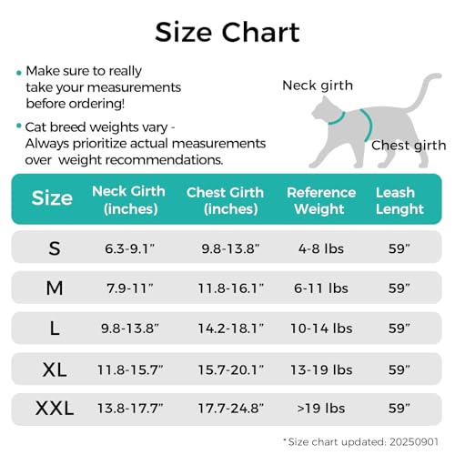 Cat Harness and Leash Set (Turquoise / Medium)