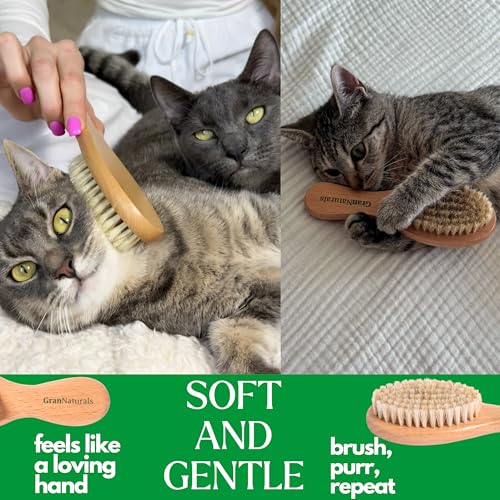 Boar Bristle Soft Cat Brush for Indoor