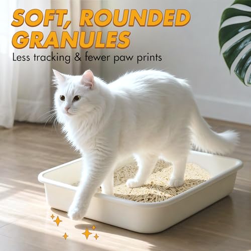 Tofu Cat Litter (5.5lb×4bags)
