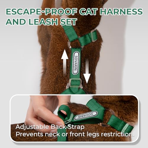 Cat Harness and Leash Set (Green)