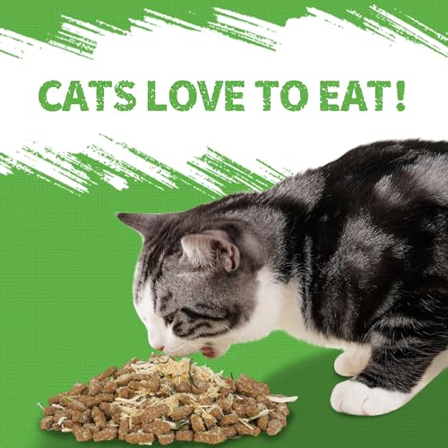 Cat Grass Jerky Treats for Indoor Cats (1 Pound (Pack of 1))