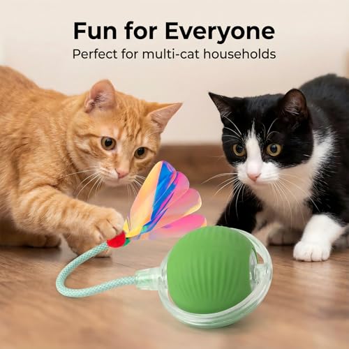 Interactive Cat Toy for Indoor Cats (Green)