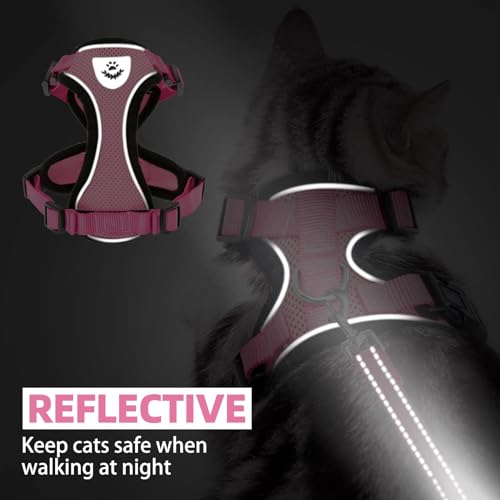 Cat Harness and Leash Set Escape Proof Reflective Cat Walking Harness Adjustable Soft Breathable Mesh Vest for Small Pets (S (NECK 9.5"-11", CHEST 13"-16") / Light Pink)
