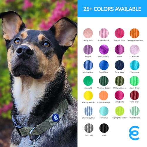 Essentials Neon Green Adjustable & Durable Large Dog Collar for Boys (Large / Neon Green)