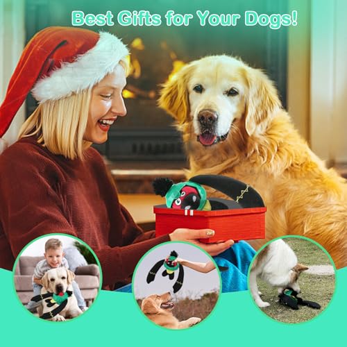 Tough Dog Toys (Green)