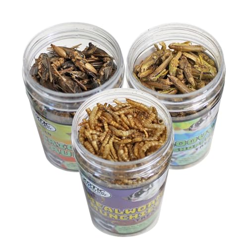 Dried Insect 3 Pack