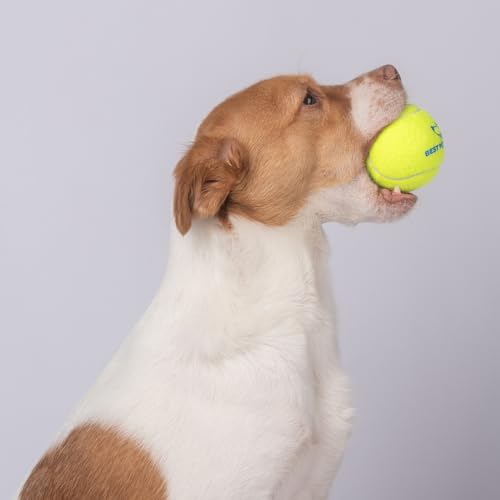Interactive Squeaky Dog Chew Toy (Tennis (Yellow) / Medium)