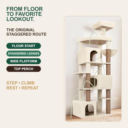 Large Cat Tree for Large Adult Cats (Beige)