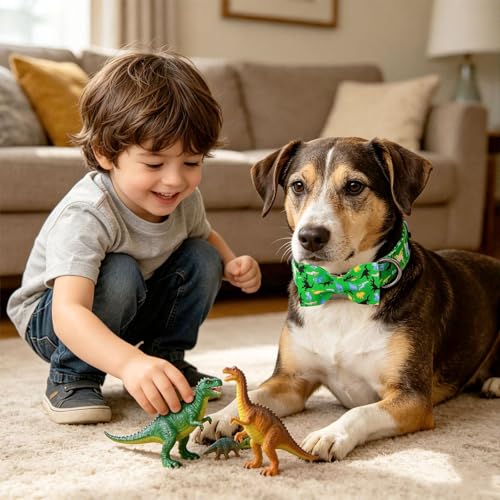 Boy Dog Collar (Green Dinosaur / X-Small (Pack of 1))