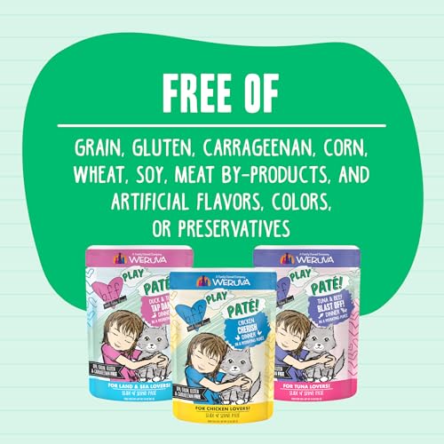 B.F.F. PLAY Best Feline Friend Paté Lovers (3 Ounce (Pack of 12))