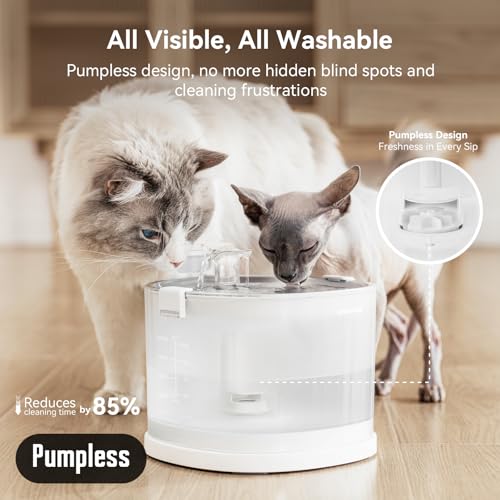Pumpless Cat Water Elfin Fountain (White / Cordless | Standard)