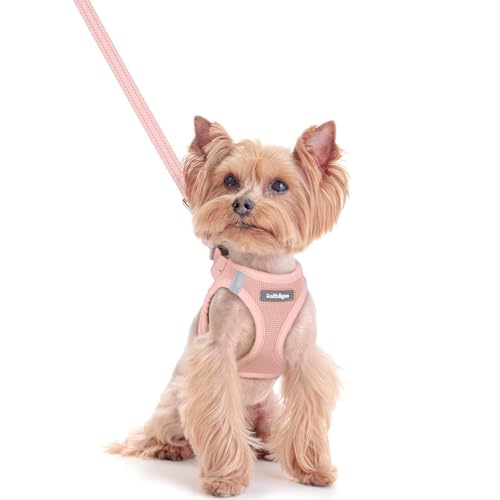 Dog Harness Small Sized and Leash Set (Pink / Xxs (chest: 12.4 - 14.2"))