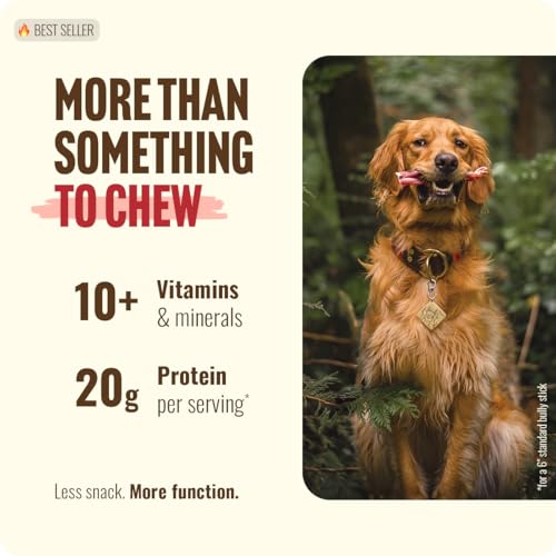 Jumbo Bully Sticks (4 Count (Pack of 1))