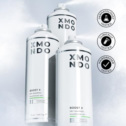 Hair BOOST X Dry Shampoo