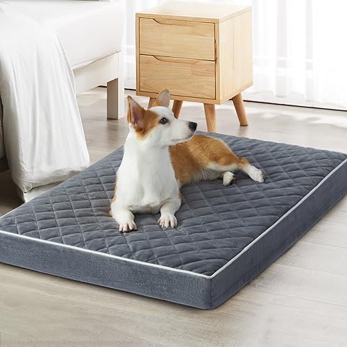 Orthopedic Waterproof Dog Bed Medium for Comfy Sleeping (Grey / 30"L x 20"W x 3"Th)