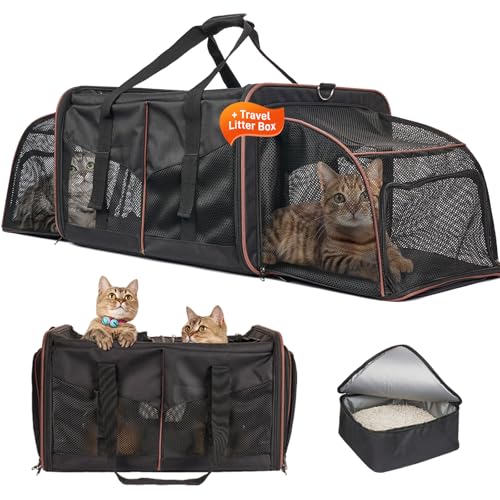 Double Cat Carrier for 2 Cats (Black)