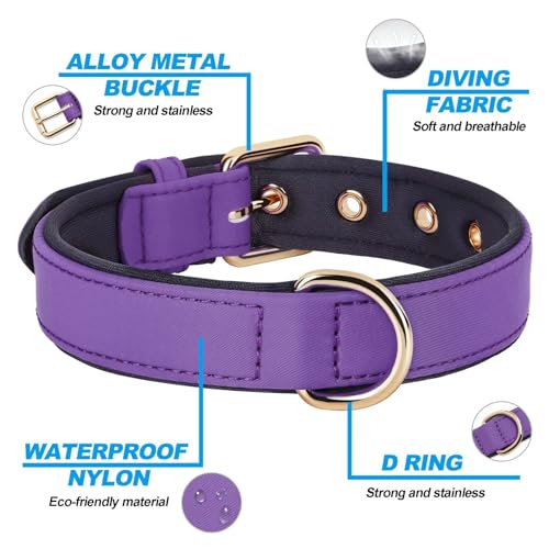 Soft Padded Dog Collars for Medium Dogs (Purple / L: Fit 13-17" Neck)
