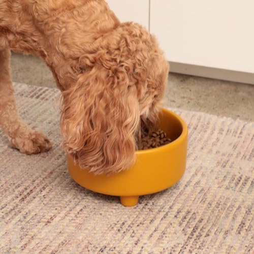 Uplift Elevated Ceramic Dog Bowl (Small / Olive)