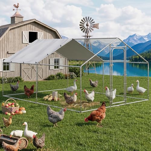 Metal Chicken Runs for Yard (158.4"L x 118.1"W x 76.8"H)