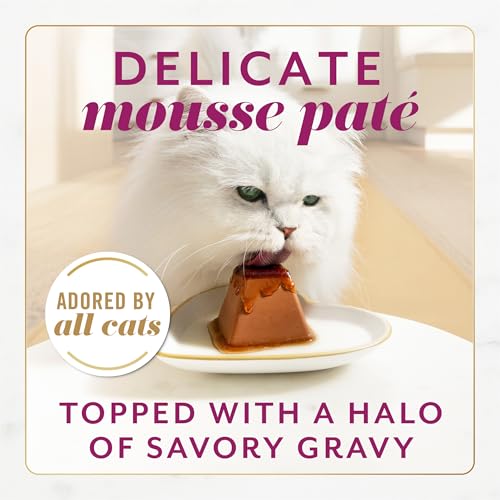 Purina Fancy Feast Gems Wet Cat Food with Beef (4 Ounce (Pack of 8))
