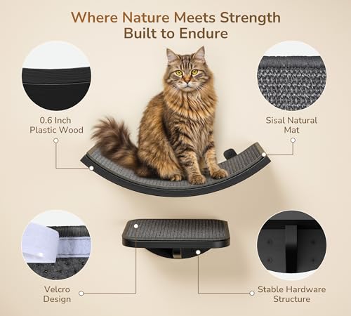 Gray Cat Wall Shelf with Grey Sisal Mat