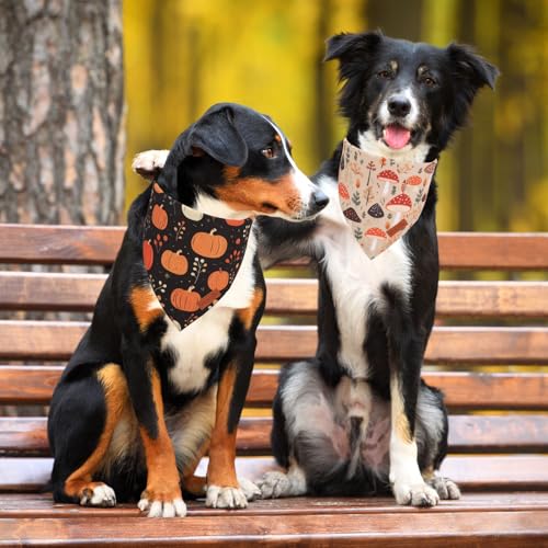 Black Fall Dog Bandana (Large / Fall)