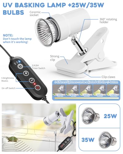 Small Turtle Tank Kit (White)