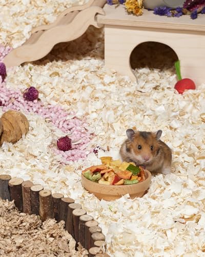 Hamster Snack & Treats Toy