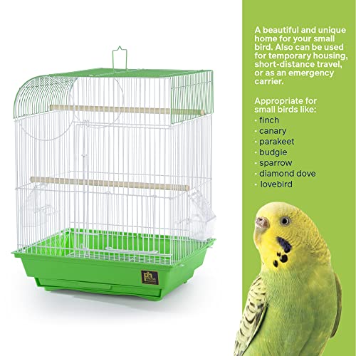 South Beach Flat Top Bird Cage (Lime Green / 10.6"L x 0.5"W x 18.0"H)
