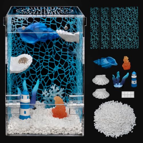 Jumping Spider Enclosure Starter Kit (Blue / Large)