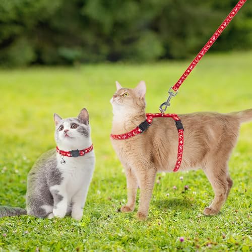 Cat Harness with Leash and Collar Set (Small / Red)