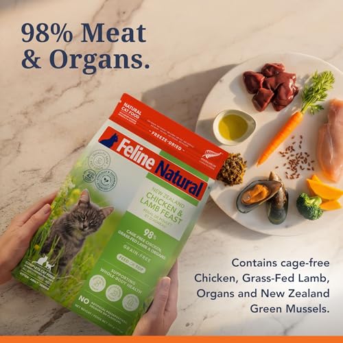 High Protein Freeze Dried Dry Cat Food with 98% Meat (11 Ounce (Pack of 1))