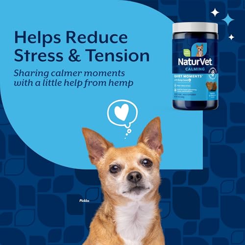 Quiet Moments Calming Plus Hemp Dog Supplement (180 Count (Soft Chews))