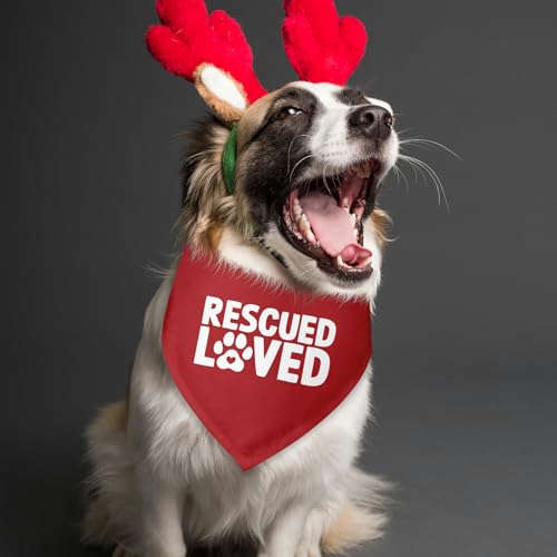 Rescued Loved Dog Bandana Adopt Me Bandanas for Dogs Adoption Gotcha Day Adopted Baby Dog Announcement Adopt Me Pets Scarf for Small Medium Dogs & Cats (V)