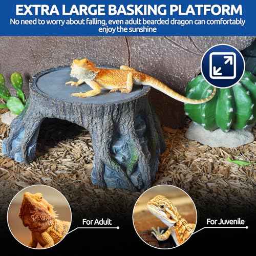 Bearded Dragon Basking Platform (Extra Large)