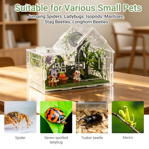 Acrylic Jumping Spider Enclosure Kit 23PCS with Decor (green-Gothic)