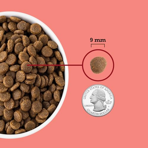 Highest Protein Dry Cat Food Indoor Cat Food Recipe 10lb Bag (10 Pound (Pack of 1))