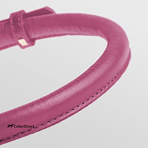 Tangle Free Rolled Leather Dog Collar (Pink / L)
