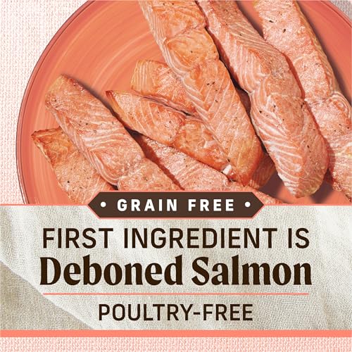 Lil' Plates Salmon Sweet Potato Dog Food 12 lb Bag (12 Pound (Pack of 1))
